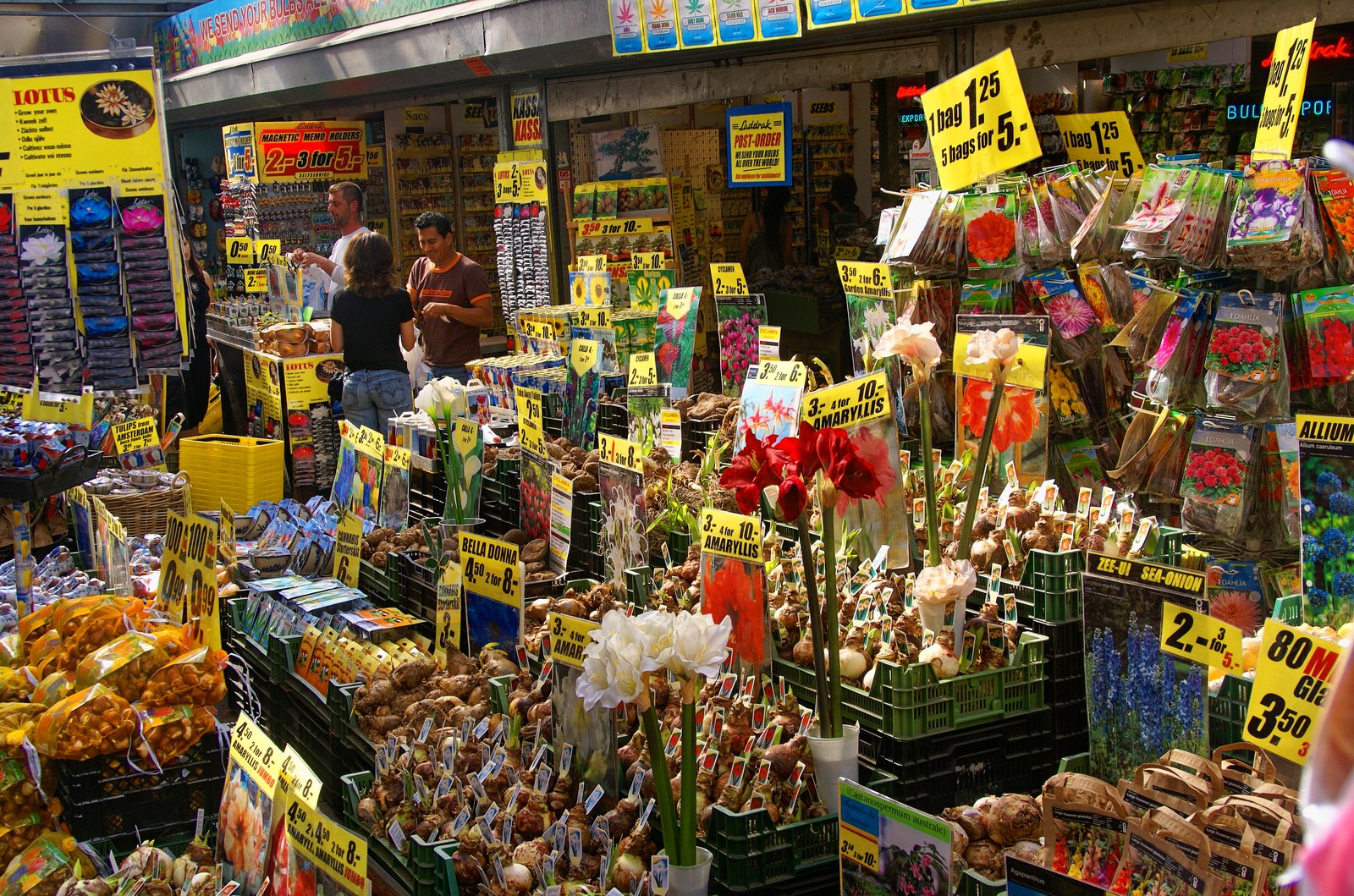 Bloemenmarkt, Amsterdam: reference photo